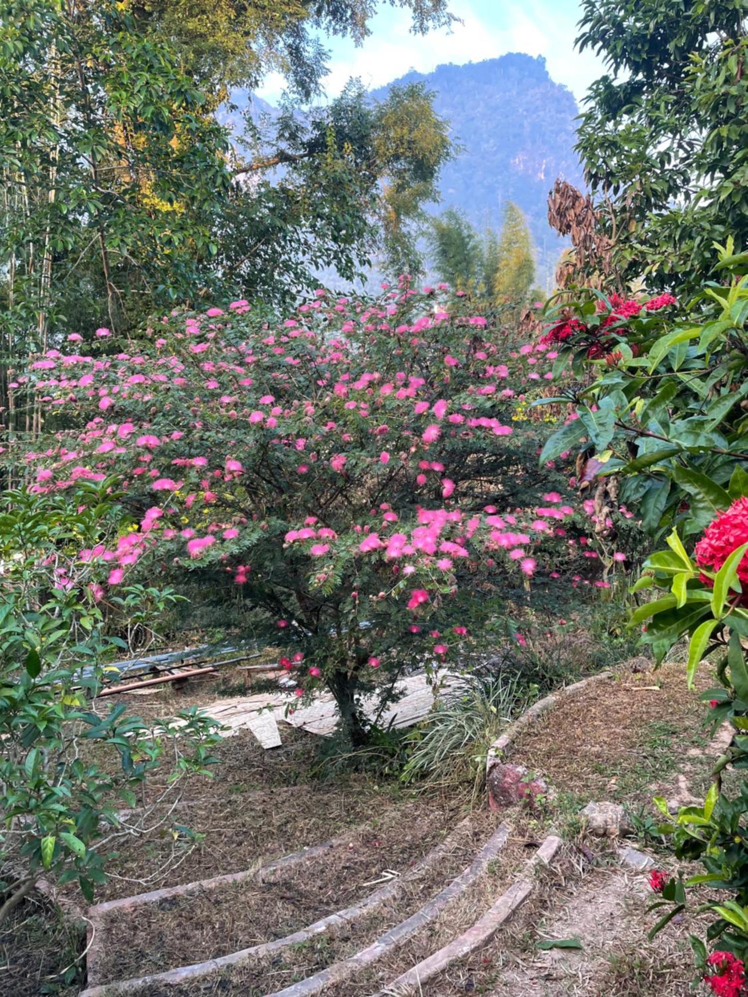Chiang Dao Roundhouses Екстер'єр фото